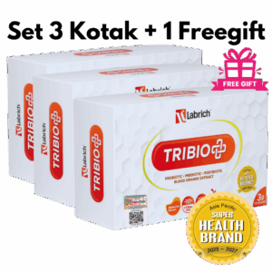 Set 3 Kotak + 1 Freegift